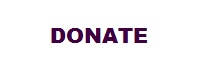 Donate button large
